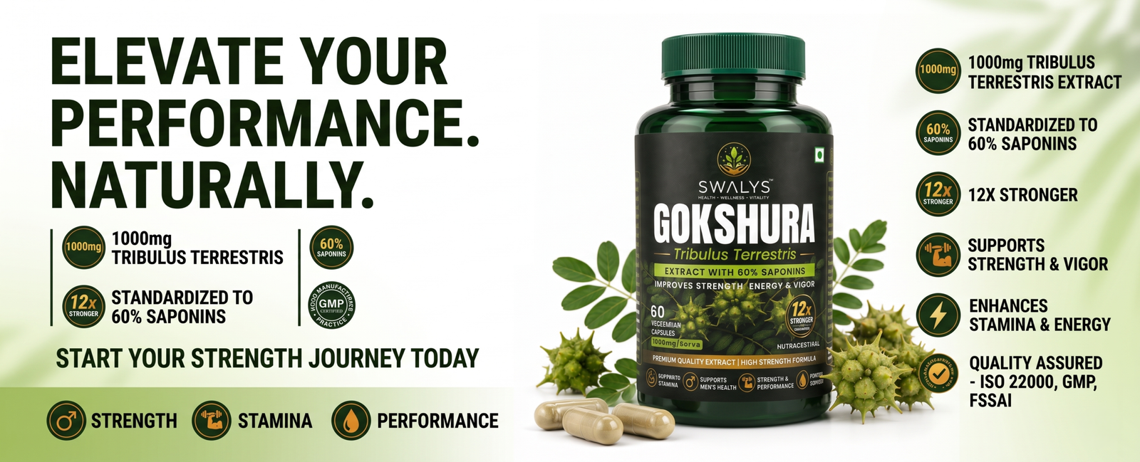 Gokshura capsule supplement gokhru